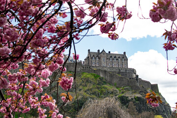 Floración de cerezos frente al Castillo de Edimburgo. Concepto de primavera en Escocia. Flores del...