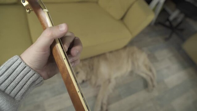 A man playing a guitar next to his retriever. Point of View Shot. POV video.