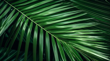 Close Up Palm Leaf created with Generative AI Technology, ai, generative