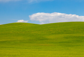 prato verde in toscana