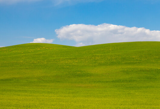 prato verde in toscana