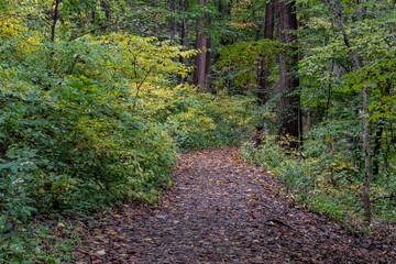 Hiking at Valley Forge on a Rainy Afternoon, Pennsylvania USA, Valley Forge, Pennsylvania