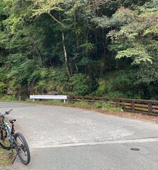 Obraz premium bicycle on the road