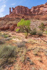 Fototapeta premium hiking the syncline loop trail in island in the sky district of canyonlands national park, utah, usa