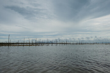 Cultivation of seaweed in coastal waters of Legundi, Lampung, Indonesia