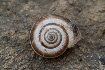 45 / 5.000
Resultados de traducción
Resultado de traducción
Macro photography of plants, flowers and objects