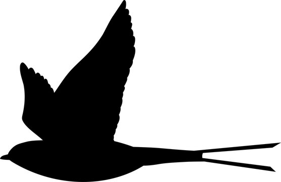 recommend clip art: swallow vector silhouette black one