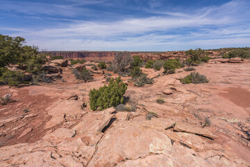 hiking the dead horse trail in dead horse point state park in utah, usa