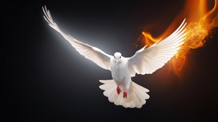 A dove coming down from heaven - Symbol of the holy spirit - black backgound, fire