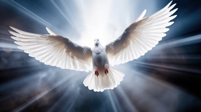 A dove coming down from heaven - Symbol of the holy spirit - cold clouds and lightrays