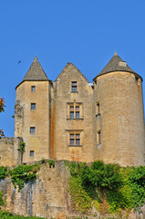 Fototapeta na wymiar France, village of Salignac in Dordogne