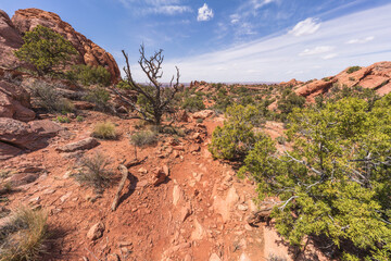 hiking the syncline loop trail in island in the sky district of canyonlands national park, utah, usa