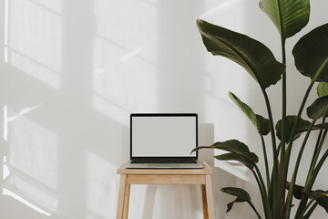 Laptop computer with blank screen, tropical plant and sunlight shadows on the wall. Minimal styled website, online shop, store, social media template with mockup copy space