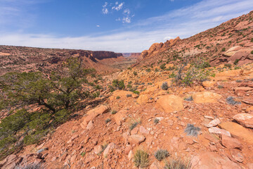 hiking the syncline loop trail in island in the sky district of canyonlands national park, utah, usa
