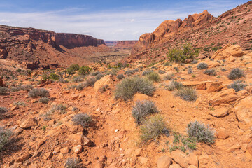 hiking the syncline loop trail in island in the sky district of canyonlands national park, utah, usa