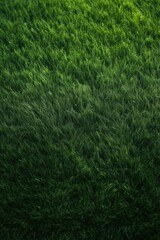 Field of fresh green grass texture as a background, top close up view. Generative Ai.