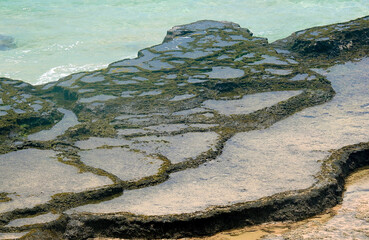 Natural pools in Praia Leao, island of Noronha - Brazil