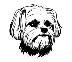 Maltese, Silhouettes Dog Face SVG, black and white Maltese vector
