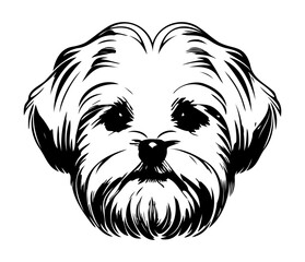 Maltese, Silhouettes Dog Face SVG, black and white Maltese vector - obrazy, fototapety, plakaty