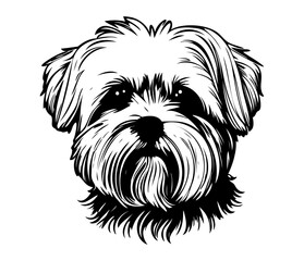 Maltese, Silhouettes Dog Face SVG, black and white Maltese vector