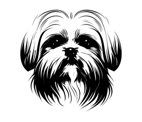 Maltese, Silhouettes Dog Face SVG, black and white Maltese vector