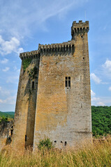 Fototapeta na wymiar France, picturesque castle of Commarque in Dordogne