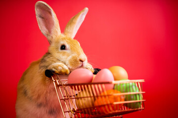 Cute bunny shopping basket or cart full of pink Easter eggs on isolated red background. Easter...