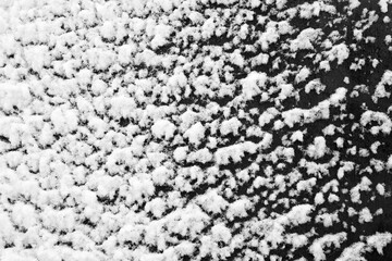 Wet snow lies on a black surface.