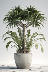 Obraz premium Tropical plants banana in a pot on a white background. Generative AI