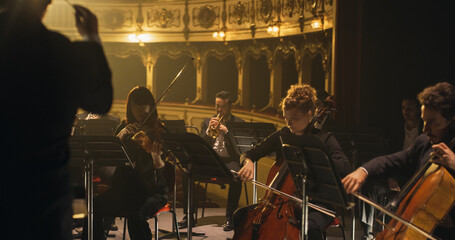 Cinematic Shot of Symphony Orchestra Musicians Performing on the Stage of a Classic Theatre During a Classical Music Concert. Focused Performers Playing Different Instruments © Kitreel