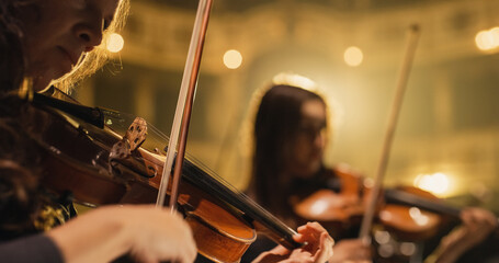 Cinematic Close Up Shot of Professional Symphony Orchestra Violin Player Playing on Classic Theatre...