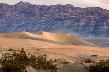 Fototapeta na wymiar Mesquite Flat Sand Dunes