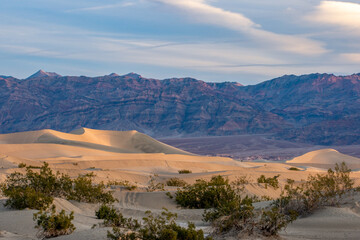Mesquite Flat Sand Dunes
