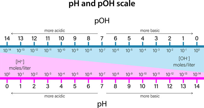 pH and pOH scale