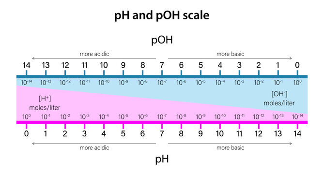 pH and pOH scale