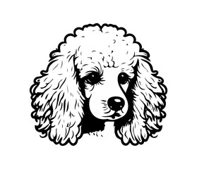 Poodle, Silhouettes Dog Face SVG, black and white Poodle vector