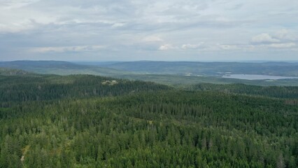 Fototapeta na wymiar vue aérienne panoramique d'Oslo depuis Holmenkollen, norvège 