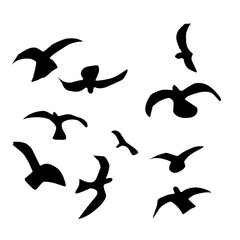 Flying Bird Silhouette 