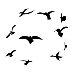 Flying Bird Silhouette 