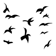 Fototapeta premium Flying Bird Silhouette 