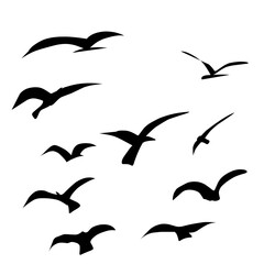 Flying Bird Silhouette 