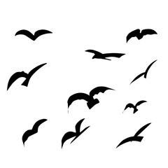Flying Bird Silhouette 