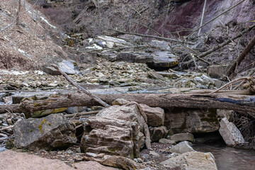 Fototapeta na wymiar rocks and tree in the river