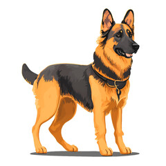 German shepherd, dog vector art illustration