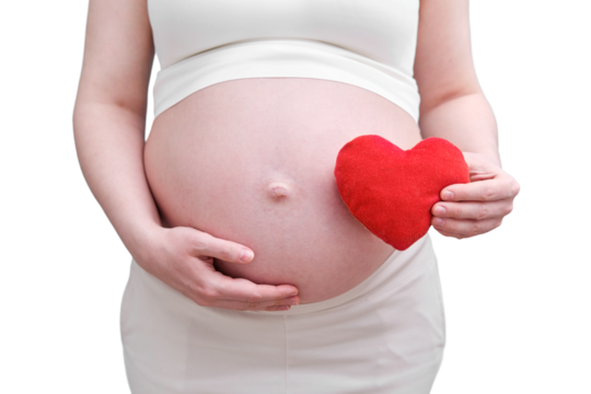 Pregnant woman with a red heart on the background of her stomach, isolated on a white background