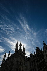 Fototapeta premium Belgique Belgium Louvain Leuven mairie hotel de ville stadhuis architecture Gothique historique statue ciel environnement