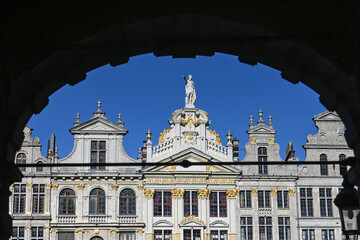 Fototapeta premium Belgique Bruxelles Grand place architecture tourisme gothique confrerie