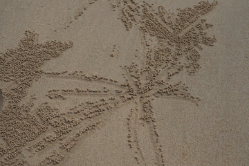 white lace on a white background