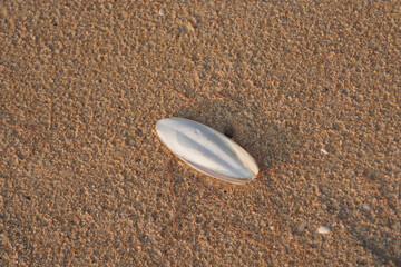 sand