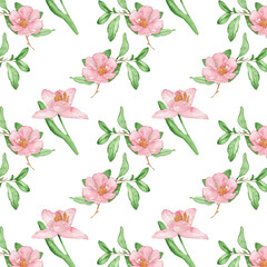 Floral pattern with rose flowers on a white background, hand painted in watercolor.